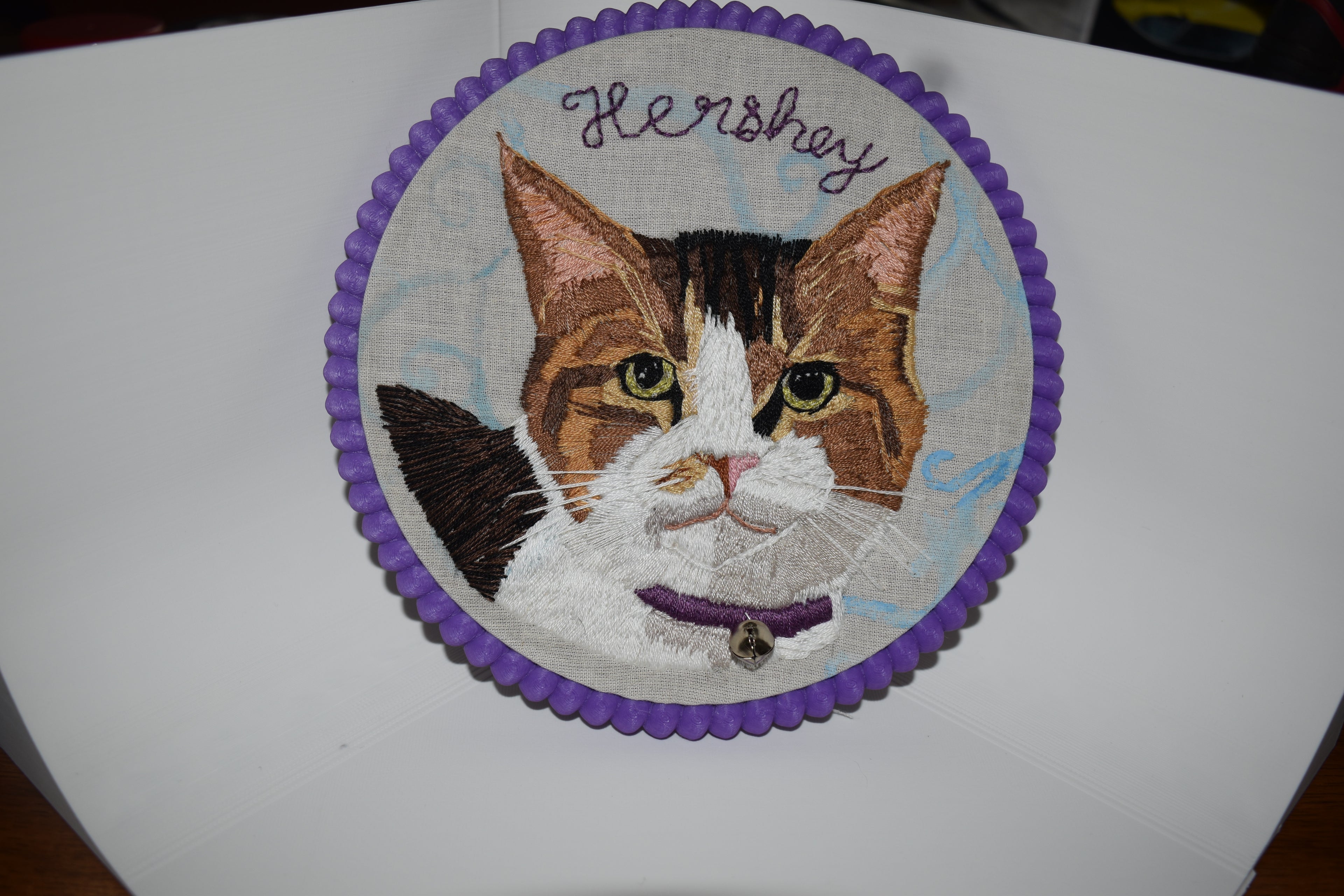 Commissioned portraits